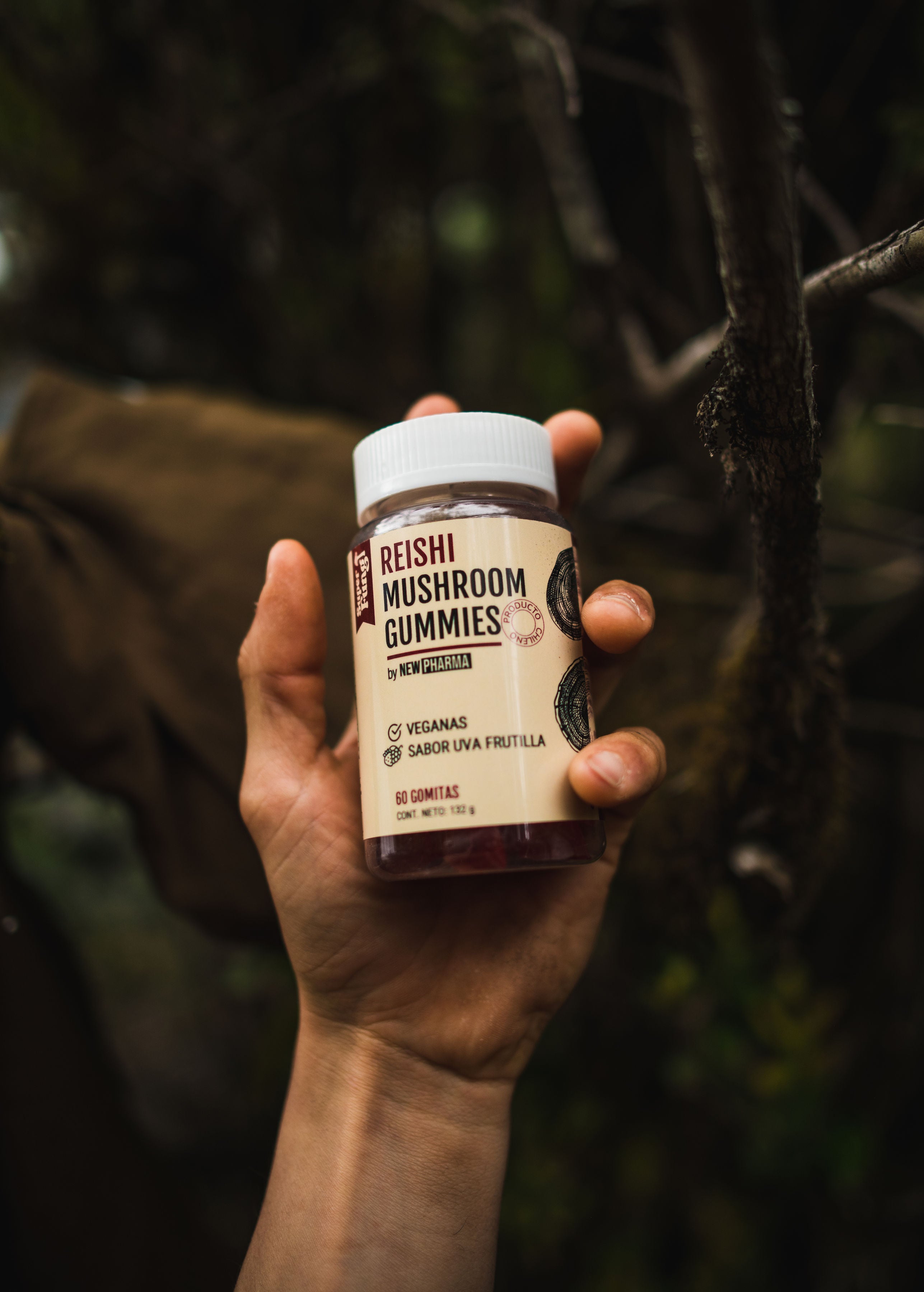 EQUILIBRIO EMOCIONAL