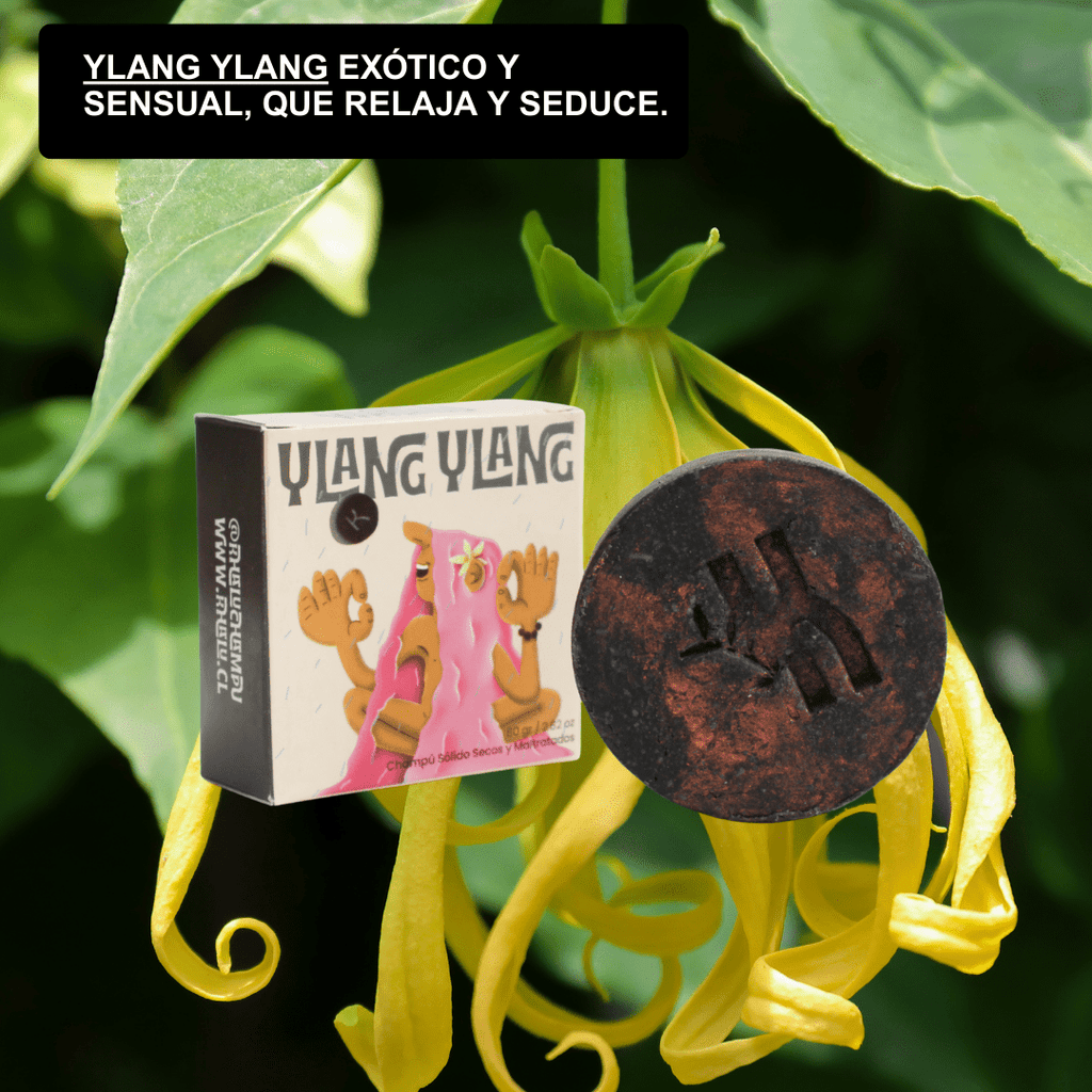 Champú Secos y maltratados - Ylang Ylang