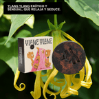 Champú Secos y maltratados - Ylang Ylang