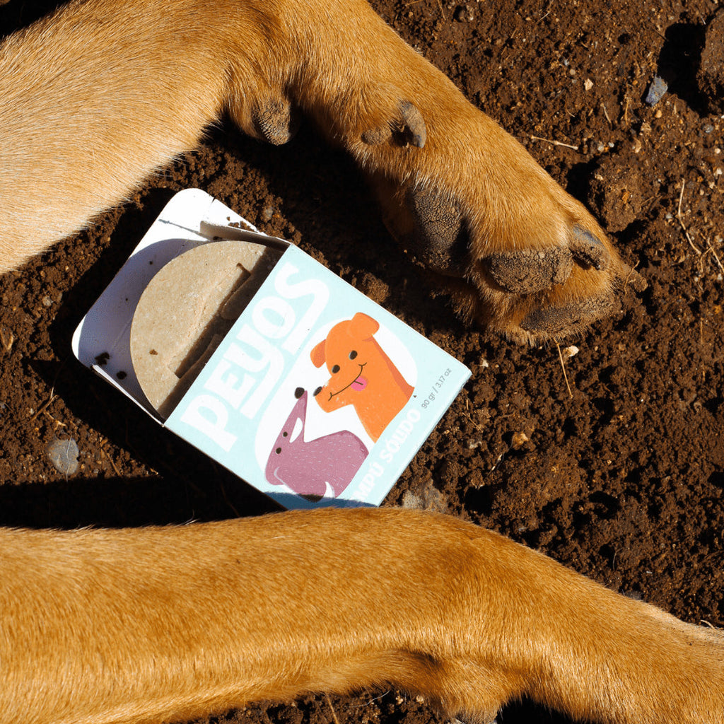 Champú sólido Perros y Gatos - Antipulgas