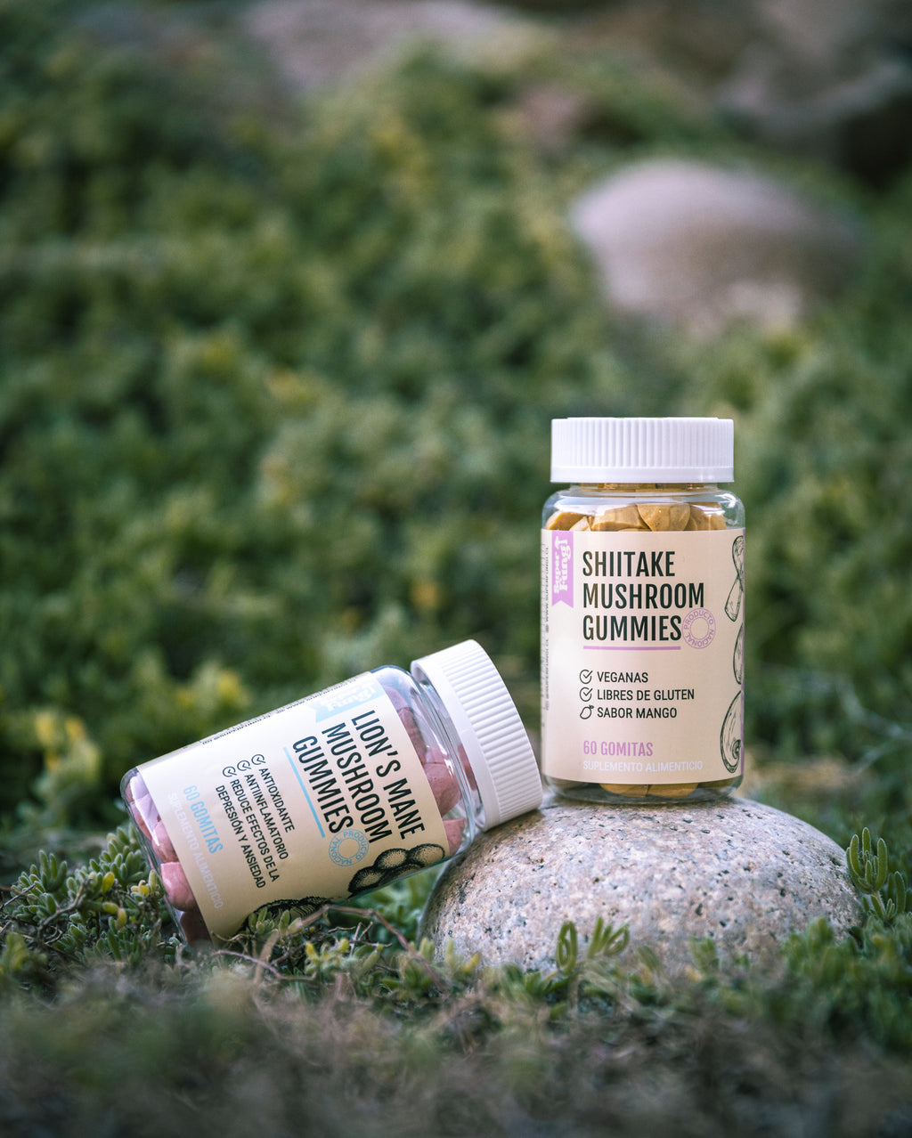 Shiitake Gummies - Gomitas de Hongo Shiitake x 60 Unidades