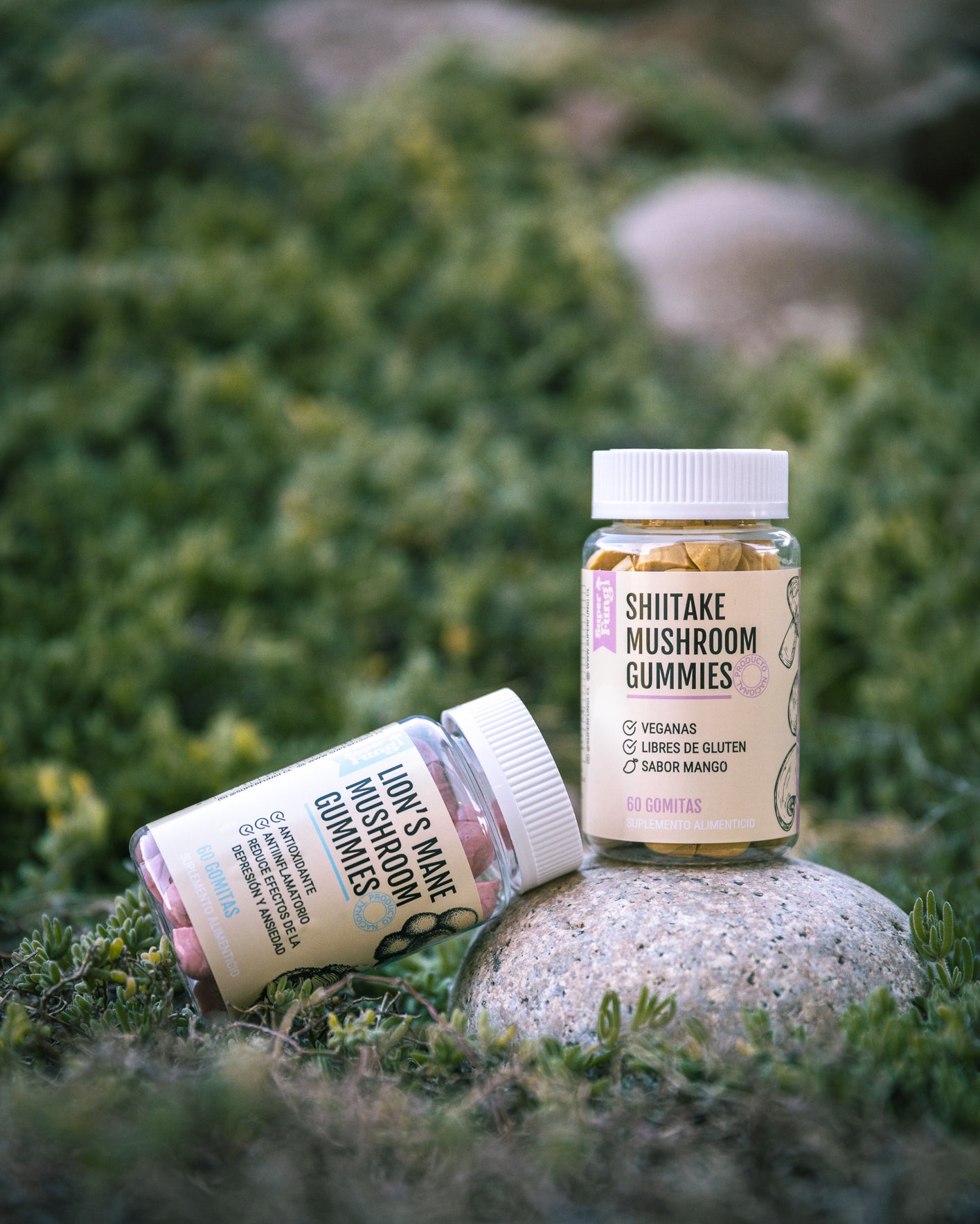 Shiitake Gummies - Gomitas de Hongo Shiitake x 60 Unidades