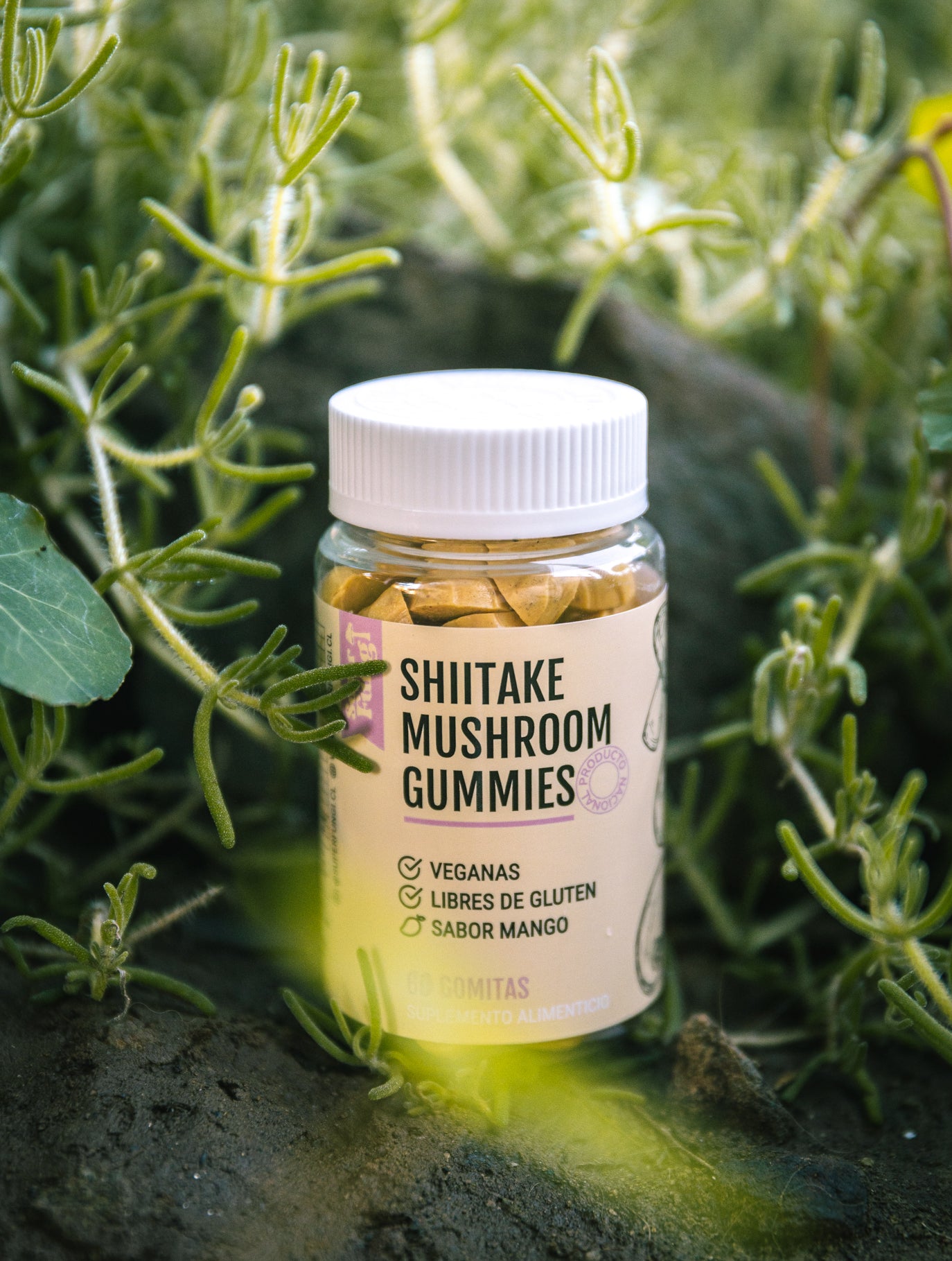 Shiitake Gummies - Gomitas de Hongo Shiitake x 60 Unidades