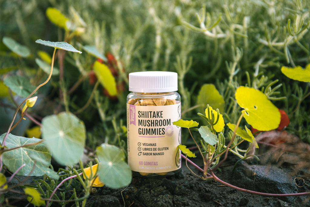 Shiitake Gummies - Gomitas de Hongo Shiitake x 60 Unidades