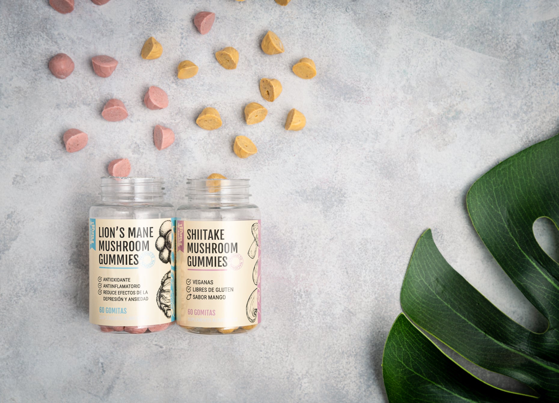 Shiitake Gummies - Gomitas de Hongo Shiitake x 60 Unidades