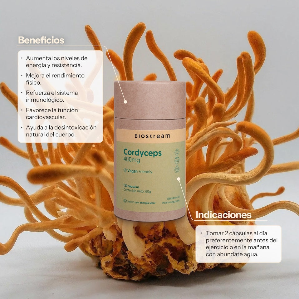 Hongo Cordyceps 400mg 120 Capsulas Vegano — detalle | Casa Ikigai