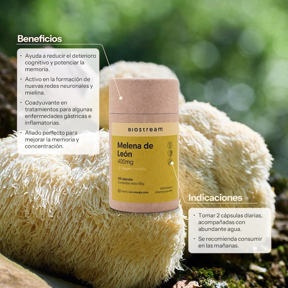 Hongo Melena de León 400mg 120 Cápsulas Vegano — detalle | Casa Ikigai