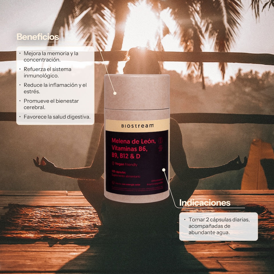 Melena de león, Vitaminas B6, B9, B12 & Vitamina D 120 cápsulas Vegano