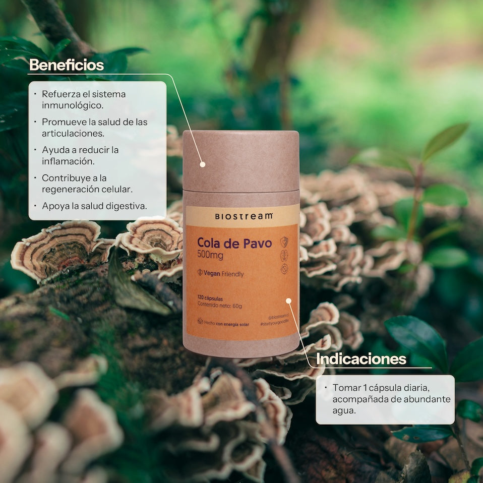 Hongo Cola de Pavo 500mg 120 Cápsulas Vegano — detalle | Casa Ikigai