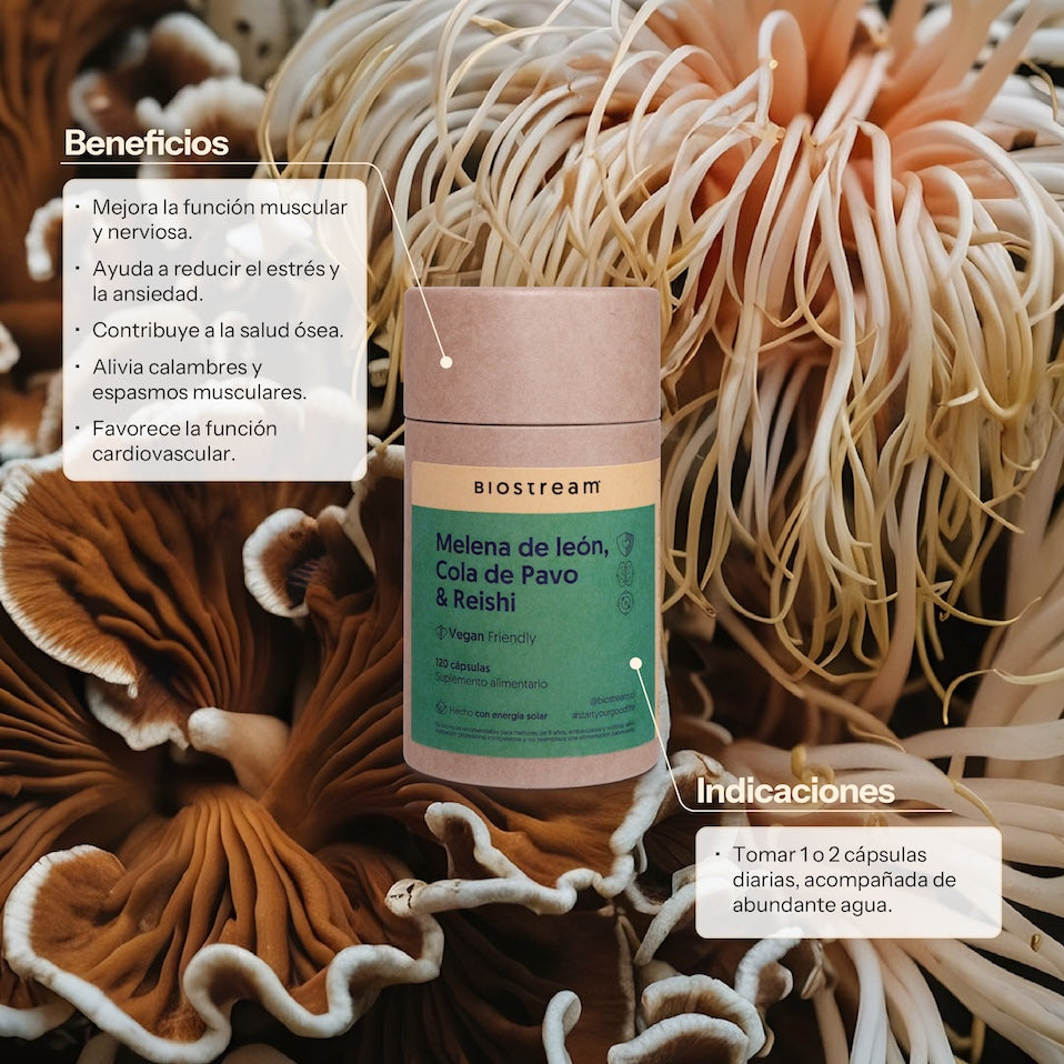 Melena de leon, Cola de Pavo & Reishi 120 Cápsulas Vegano — detalle | Casa Ikigai