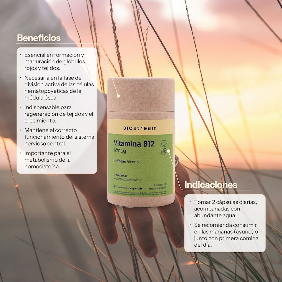 Vitamina B12 12mcg 120 Cápsulas Vegana — detalle | Casa Ikigai